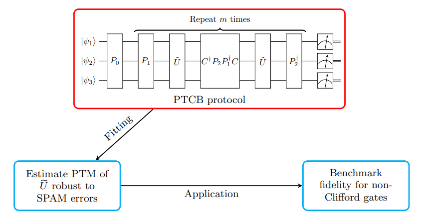 Pauli Twirling Group Benchmarking Accurately Characterizes Non-Clifford Gates and Regularizes Noise Channels