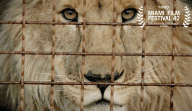 'Checkpoint Zoo' To Hit VOD For One Day In Honor Of World Animal Day