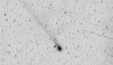 Starlink satellites: Starfield with background in white and comet in black with many stars and thin lines showing satellite trails.