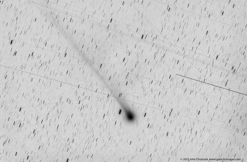 Starlink satellites: Starfield with background in white and comet in black with many stars and thin lines showing satellite trails.