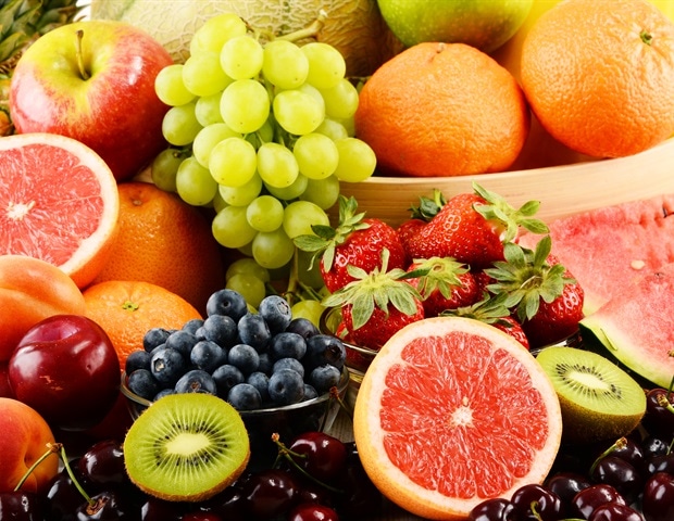 Neuroscientists uncover a surprising role for "Frazzled" protein in the nervous system of fruit flies