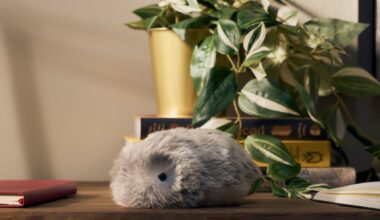 Casio’s Fluffy AI Robot Squeaked Its Way Into My Heart