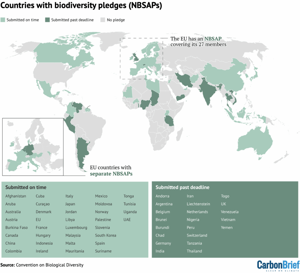 Countries with national biodiversity strategies and action plans (NBSAPs) by the 21 October 2024 deadline (light green) and after (dark green). Source: UN Convention on Biological Diversity. Map by Joe Goodman for Carbon Brief.