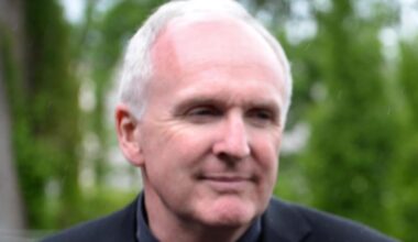 Limerick hospital expansion at risk over chief executive pay row – The Irish Times