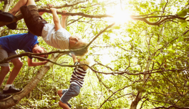 Starved of motion? Why our kids need a ‘movement diet’