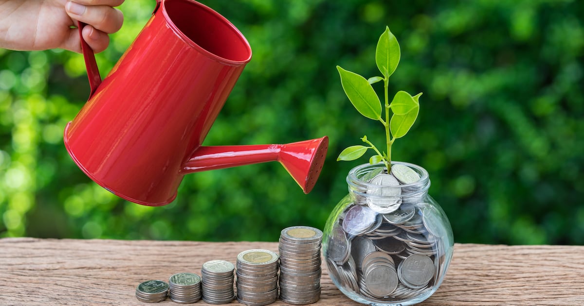 Employers have just weeks left to prepare for first auto enrolment pension contributions – The Irish Times