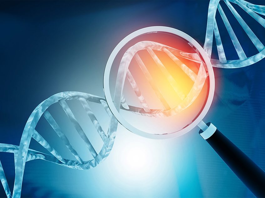 Study identifies three new genes linked to cleft lip, palate risk