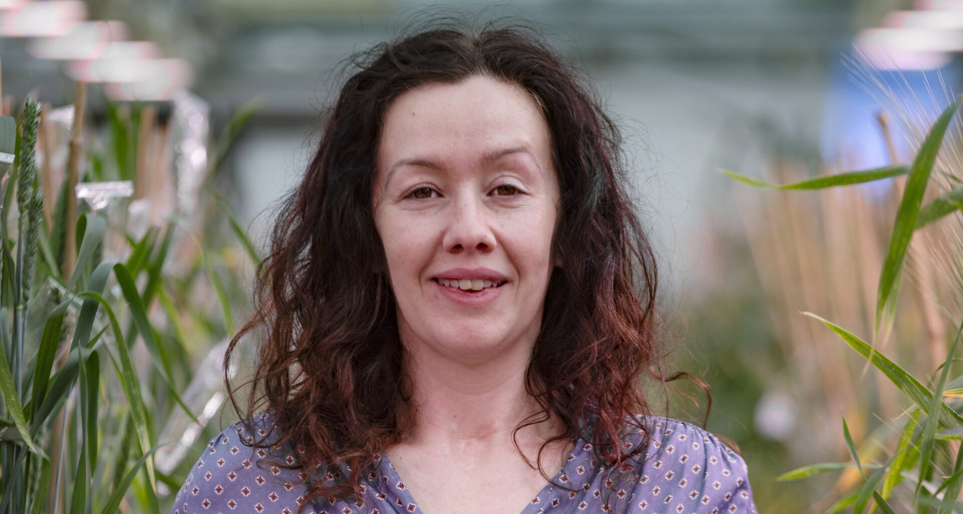 International award for group leader recognises excellence in wheat genetics and genomics