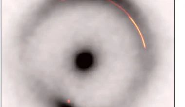 Overlay of the infrared emission (black and white) with the radio emission (colour). The dark, low-mass object is located at the gap in the bright part of the arc on the right hand side (Credit : Keck/EVN/GBT/VLBA)