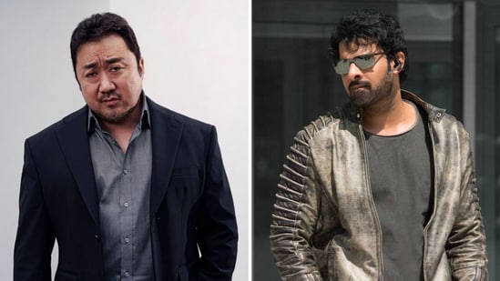 Korean action star Don Lee is reportedly playing a pivotal role in Prabhas-starrer Spirit.