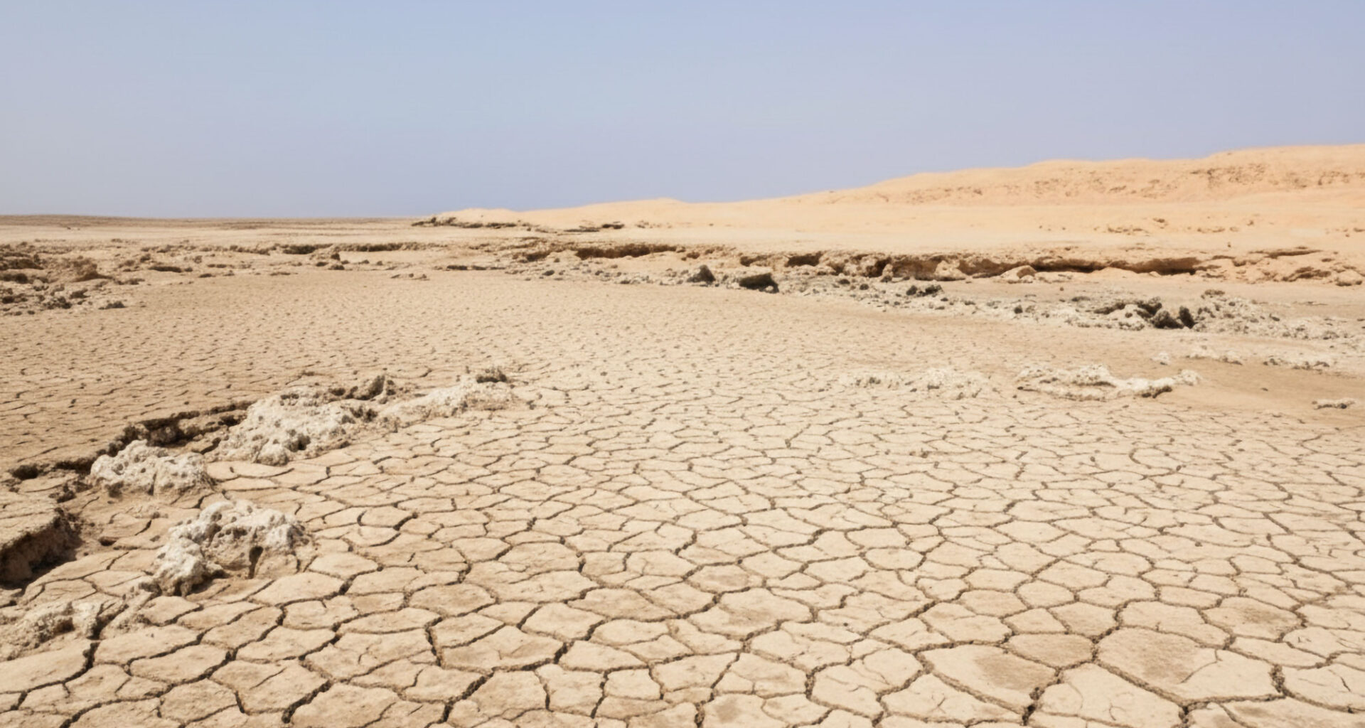 Dried Red Sea Drought