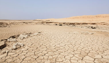 Dried Red Sea Drought