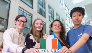 why boys are getting twice as many top grades – The Irish Times