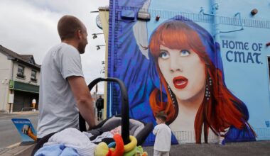 Occasionally entertaining but an opportunity missed – The Irish Times