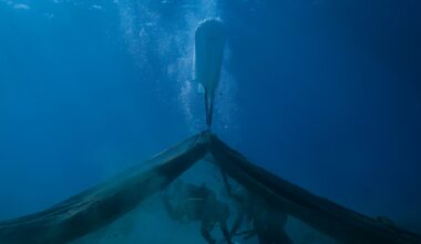 Greek divers haul up ghost nets destroying marine life
