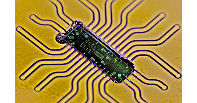 EEROQ PUBLISHES BREAKTHROUGH QUANTUM COMPUTING RESULTS IN PHYSICAL REVIEW X