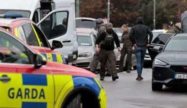 Young man detained following five-hour standoff with gardaí in Co Meath
