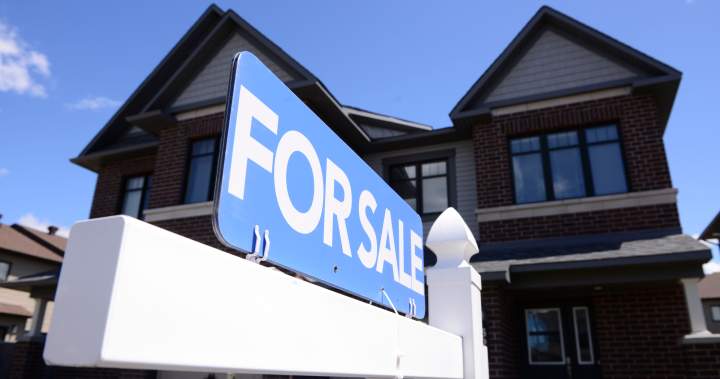 Fall housing market moving towards a ‘balance.’ What does it mean for you? - National