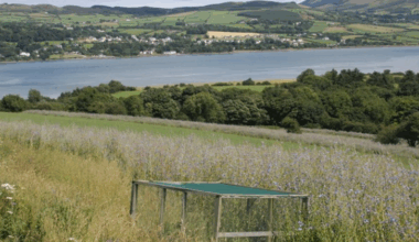 Donegal farmers to share almost €12m in advance Eco-Scheme payments 