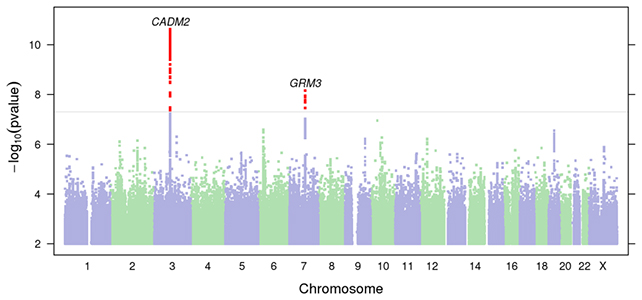 DNA chart