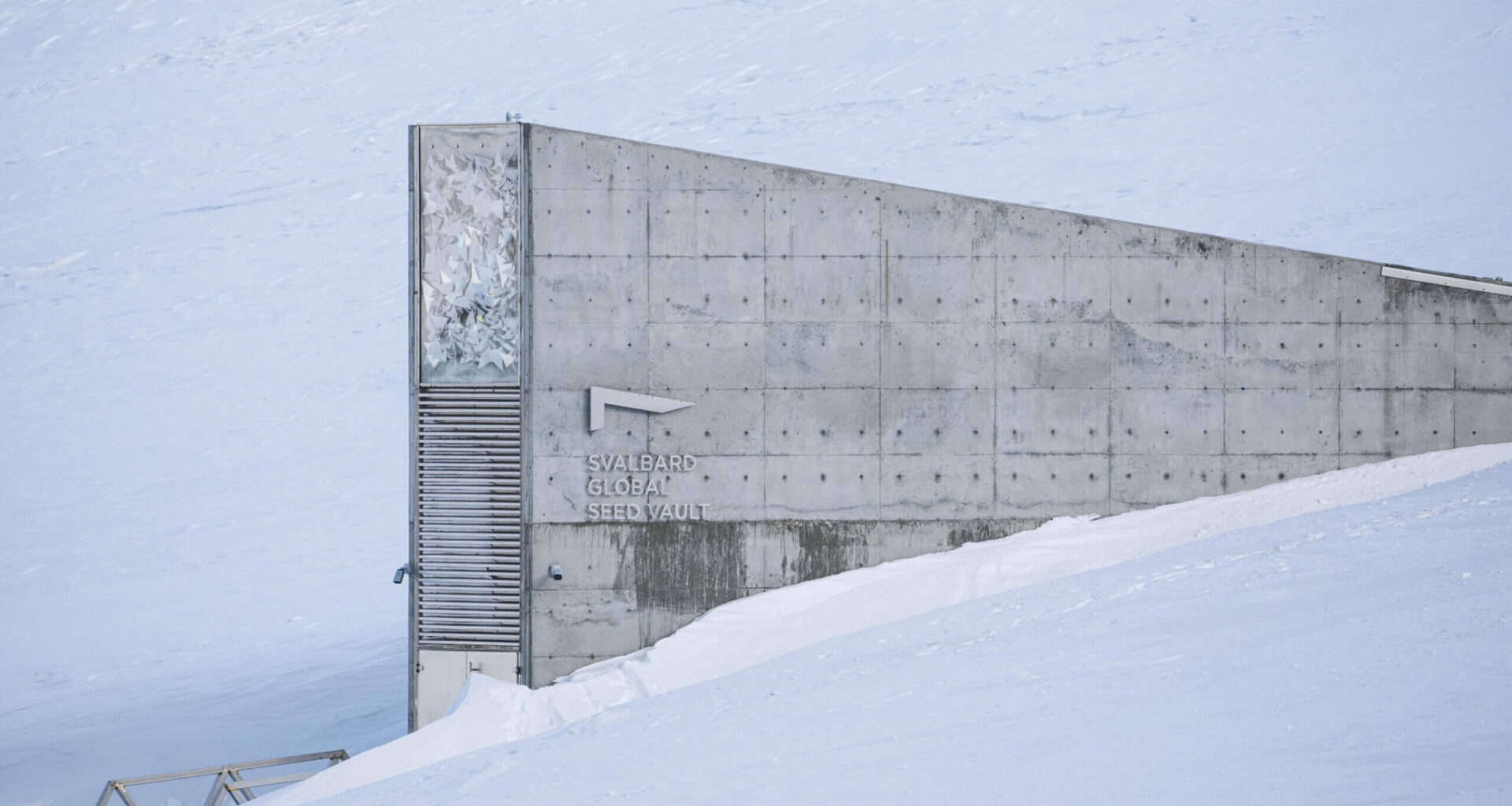 Why the story of Noah's Ark is timelier than ever – The Forward