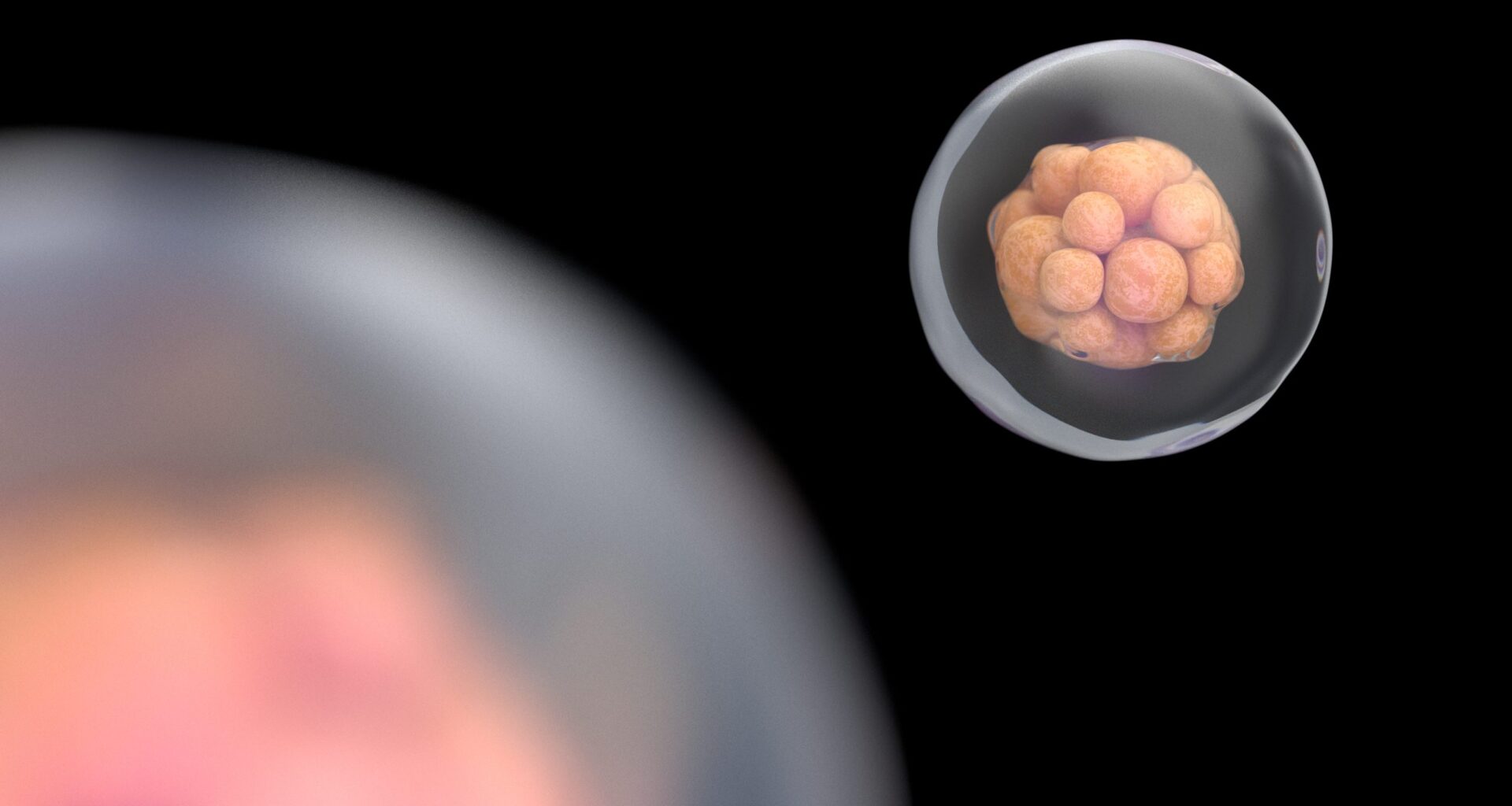 Real-Time Embryo Imaging Raises Questions About IVF Screening Accuracy