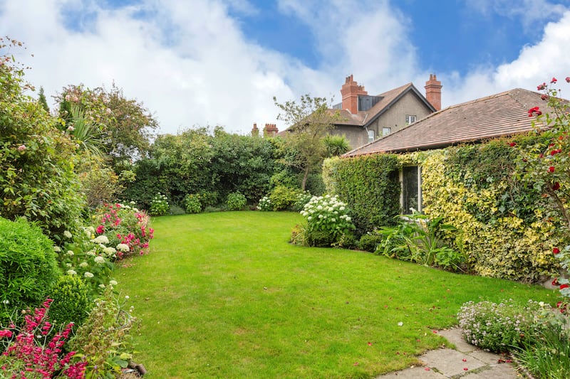 Back garden