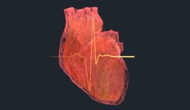 Huge Study Links 99% of Heart Attacks And Strokes With Four Risk Factors : ScienceAlert