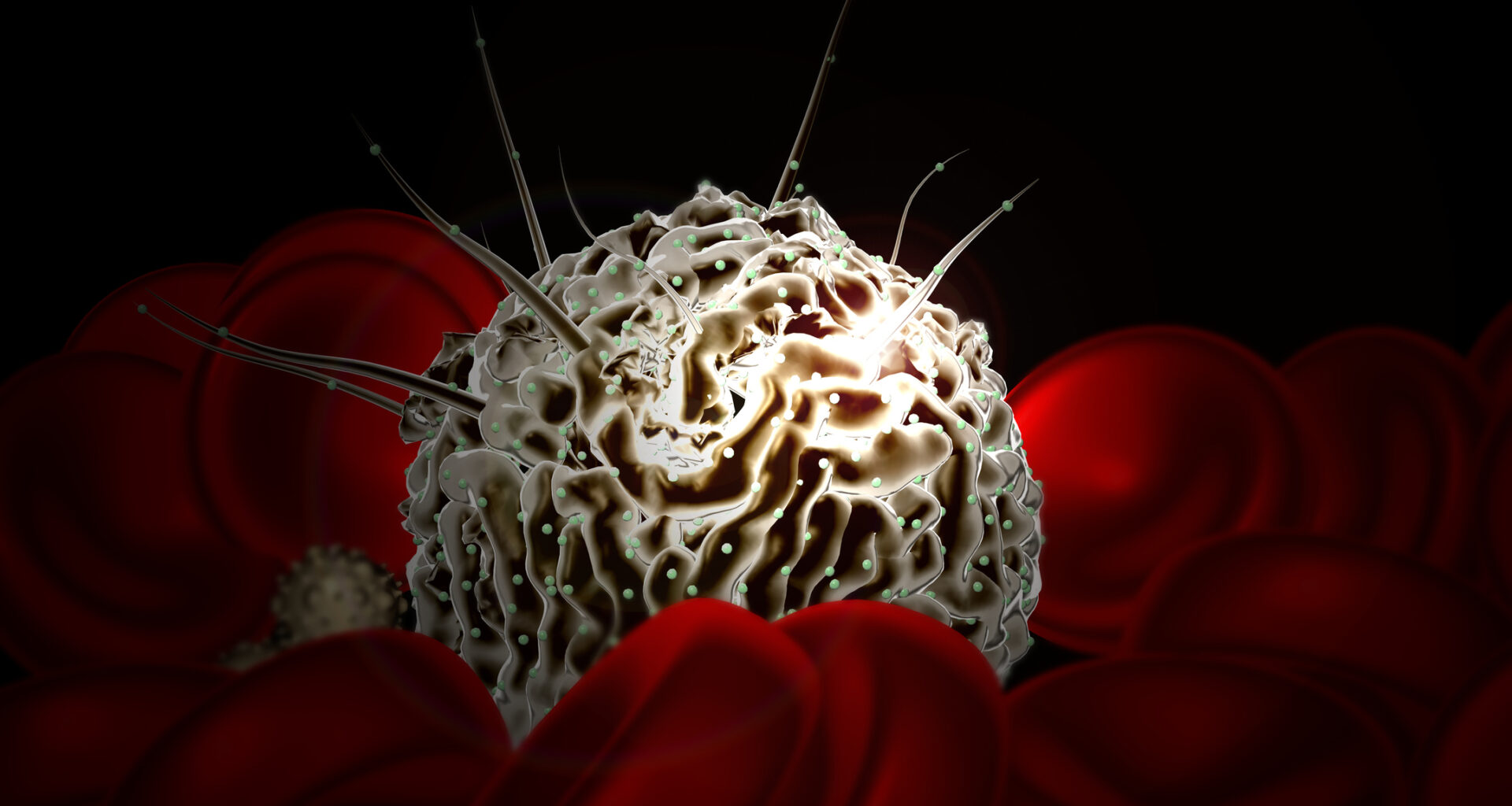 Human Embryo Model Produces Blood Stem Cells