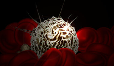 Human Embryo Model Produces Blood Stem Cells