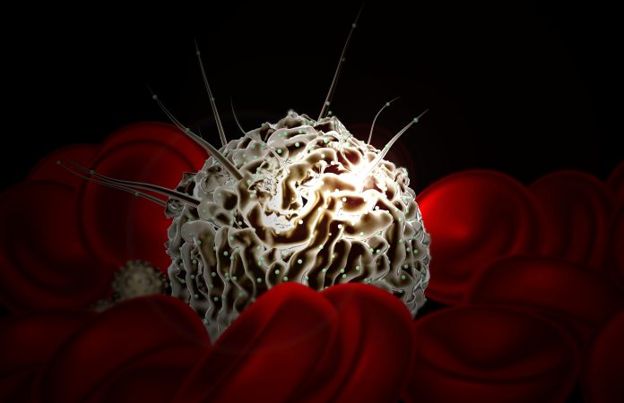 Hematopoietic stem cells