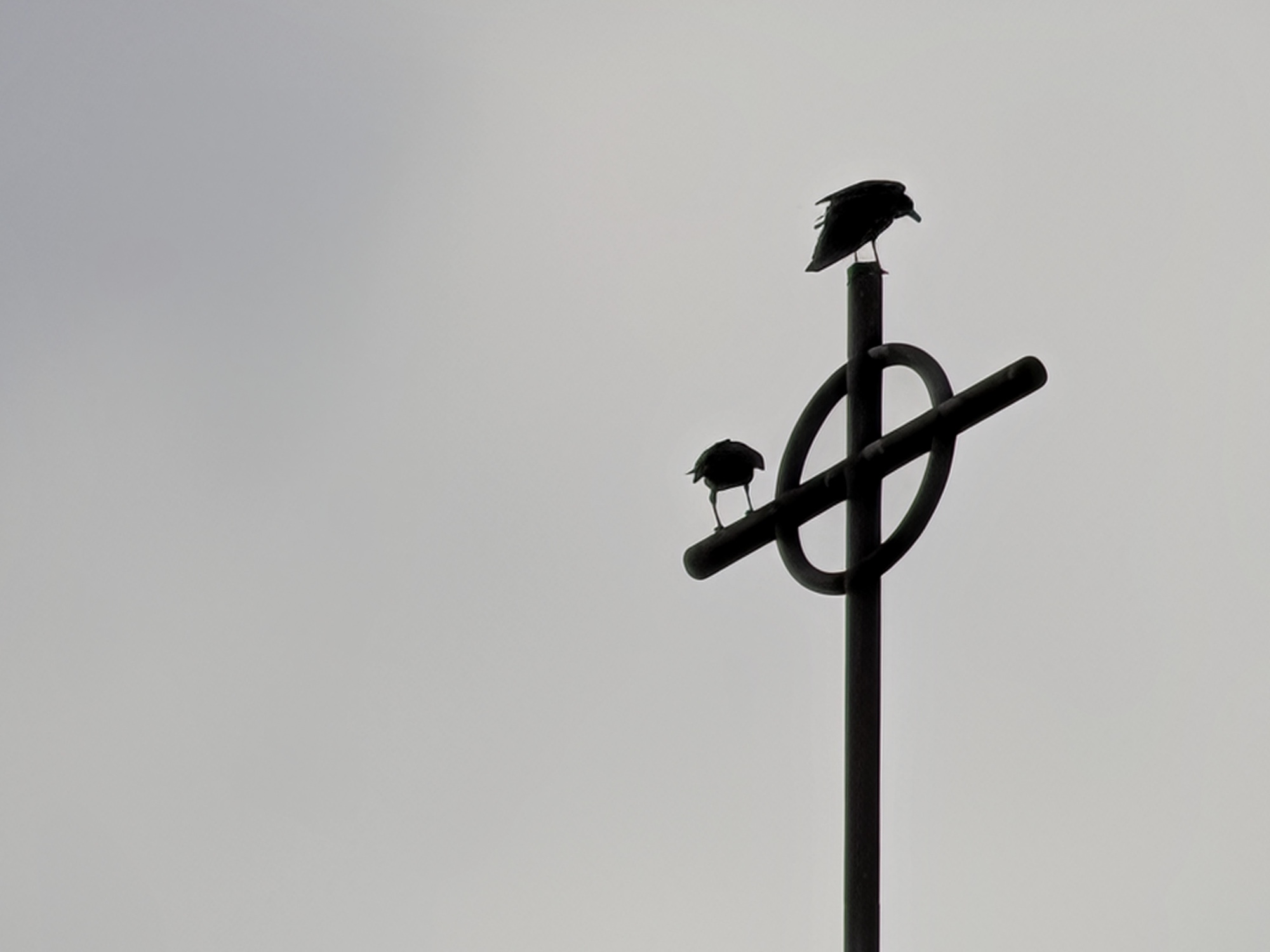 Church steeple by Pixel 10 Pro