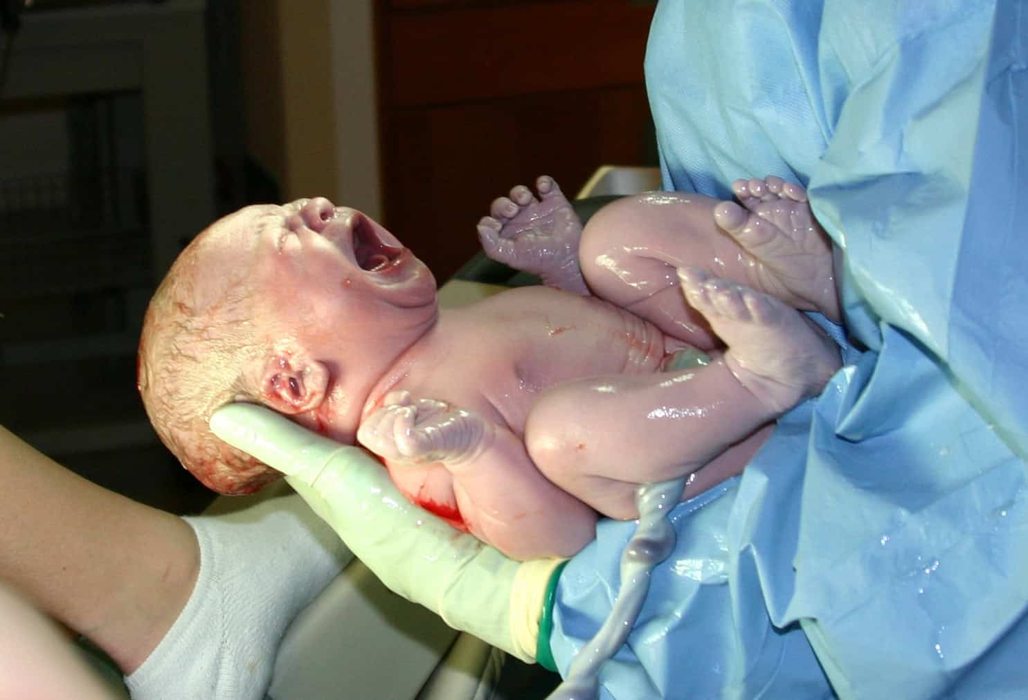 Newborn