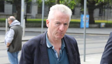 Man in exotic pets case refused stay to bring further appeal – The Irish Times