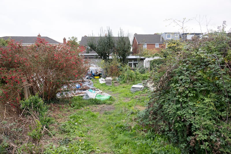 The back garden. Photograph: Chris Maddaloni/The Irish Times