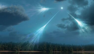 Nuclear fusion reactor’s plasma control: US firm teams up with Google to use AI on SPARC