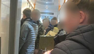 Passengers contradict Irish Rail on animal cruelty claim