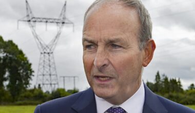 Energy companies will factor in subsidies to ‘gouge’ customers, Taoiseach says – The Irish Times