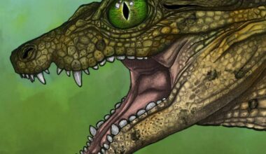 A Plant-Eating Croc? Newly Identified Species Demonstrates Crocodilian Versatility