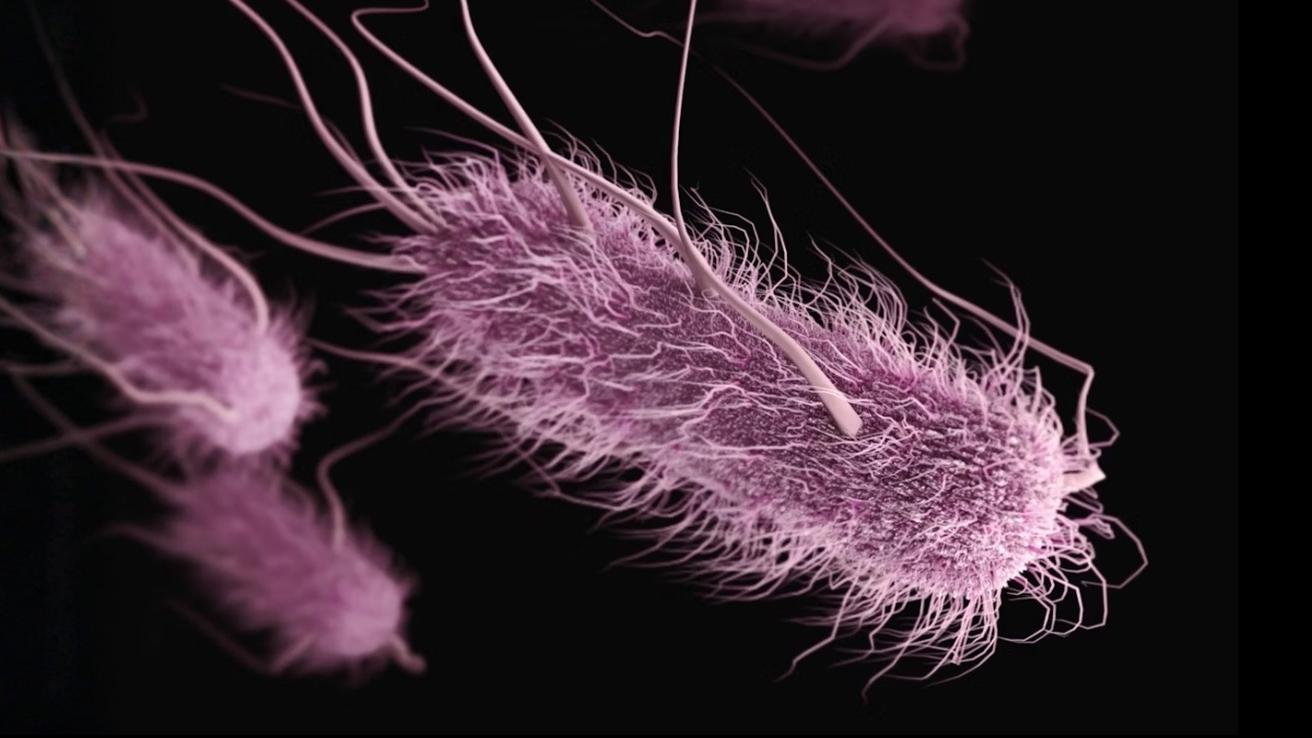 1 in 5 UTIs Can Be Linked to Poor Hygiene in The Kitchen : ScienceAlert