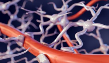 Primer: The blood–brain barrier. Image Credit: Love Employee / Shutterstock