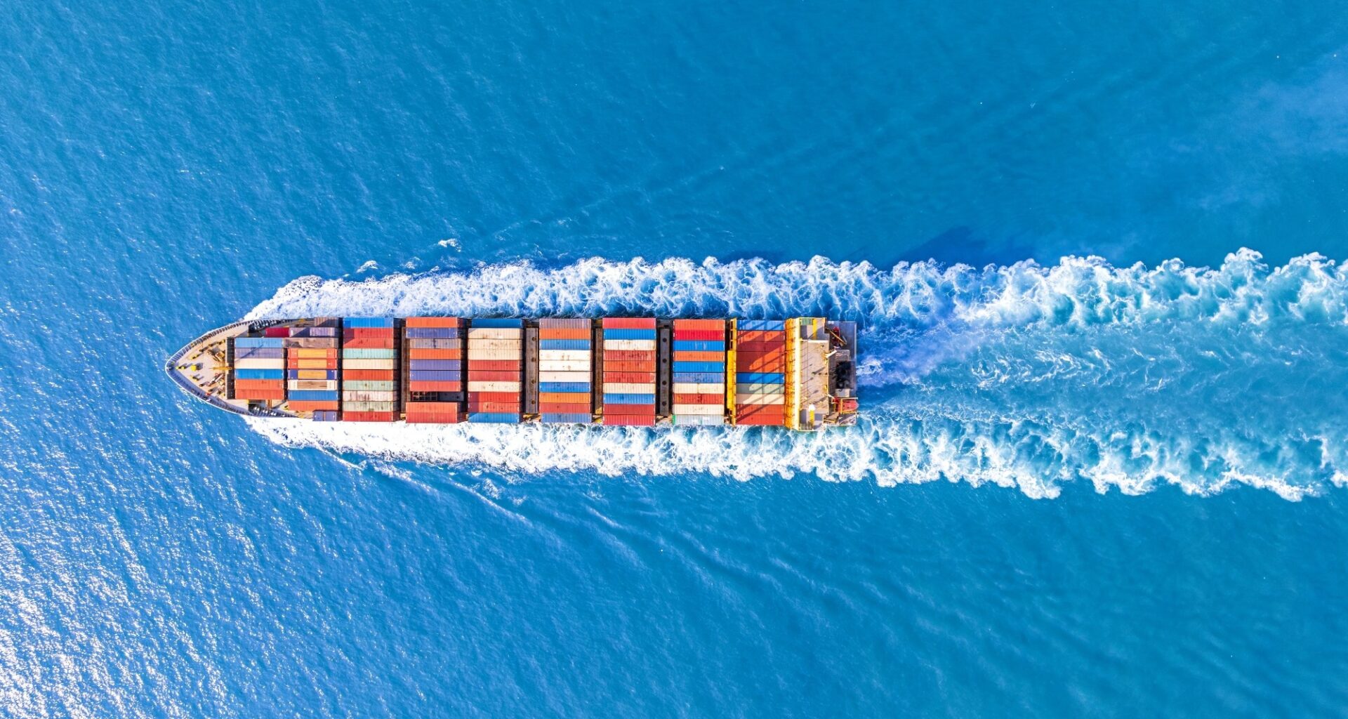 Study: Global invasion patterns and dynamics of disease vector mosquitoes. Image Credit: GE_4530  / Shutterstock