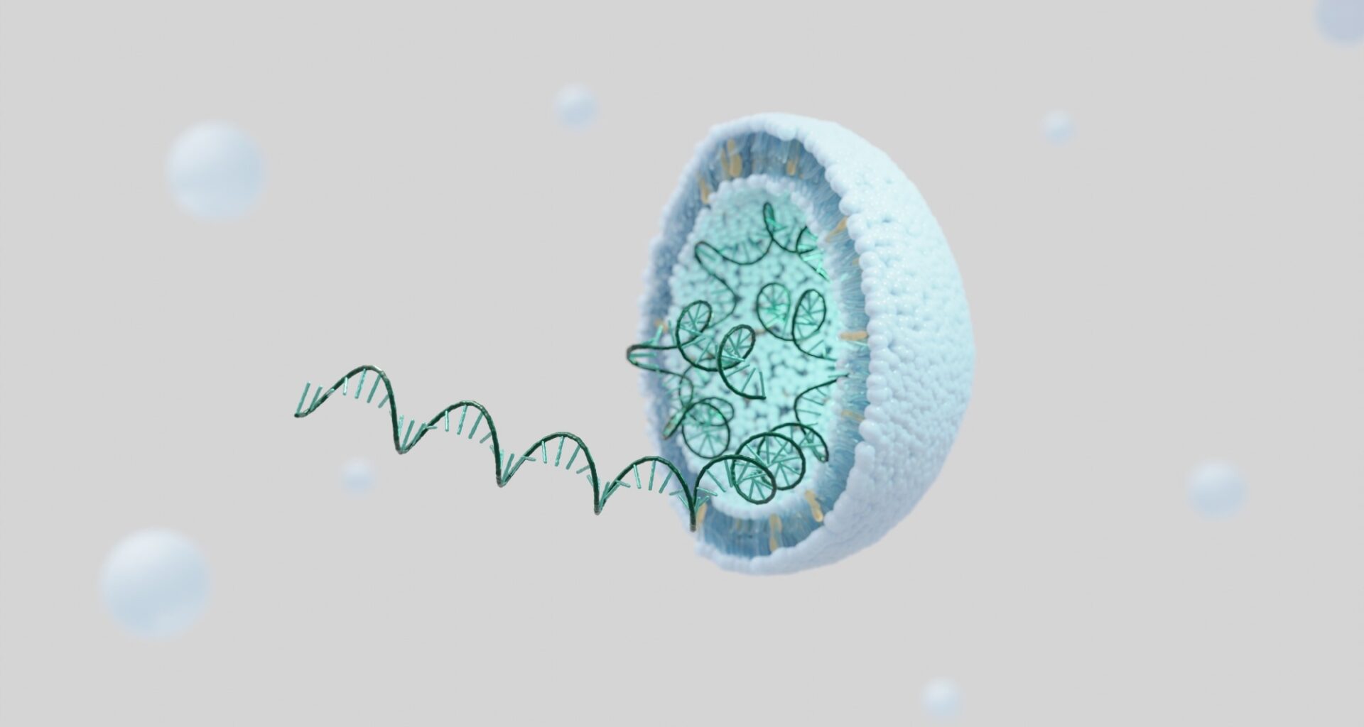 Study: SARS-CoV-2 mRNA vaccines sensitize tumours to immune checkpoint blockade. Image Credit: KwangSoo Kim / Shutterstock