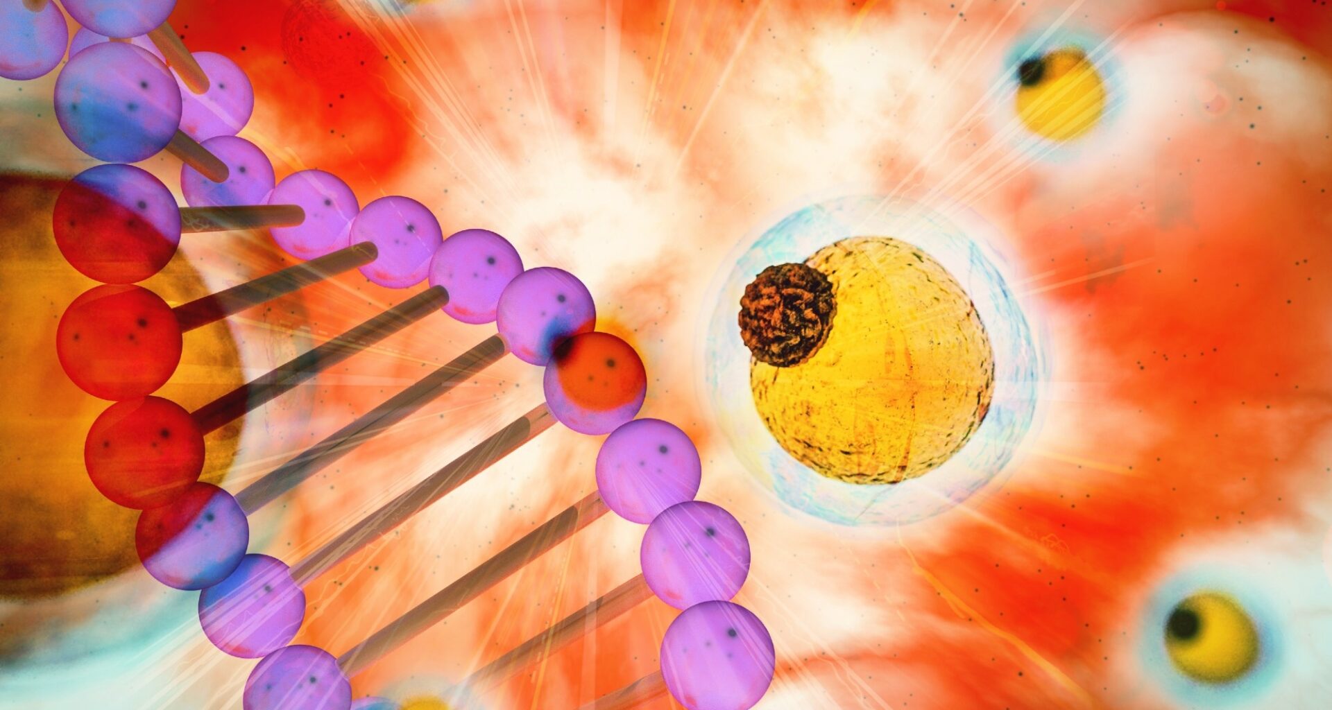 Study: Discovery of obesity genes through cross-ancestry analysis. Image Credit: CI Photos / Shutterstock