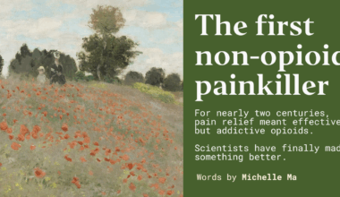The first non-opioid painkiller - Works in Progress Magazine