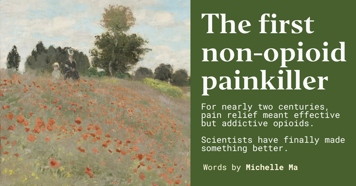 The first non-opioid painkiller - Works in Progress Magazine