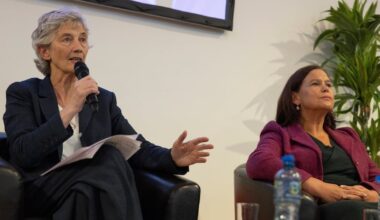 Sinn Féin to run own candidate in byelection prompted by Connolly presidency win – The Irish Times