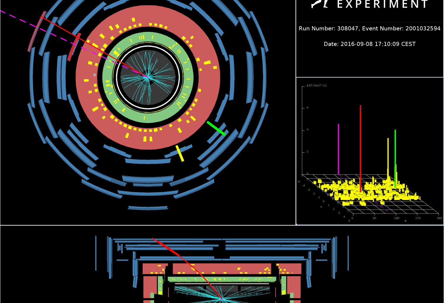 Shining light on the Weak force: ATLAS observes WWγ production
