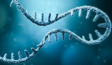 RNA strand