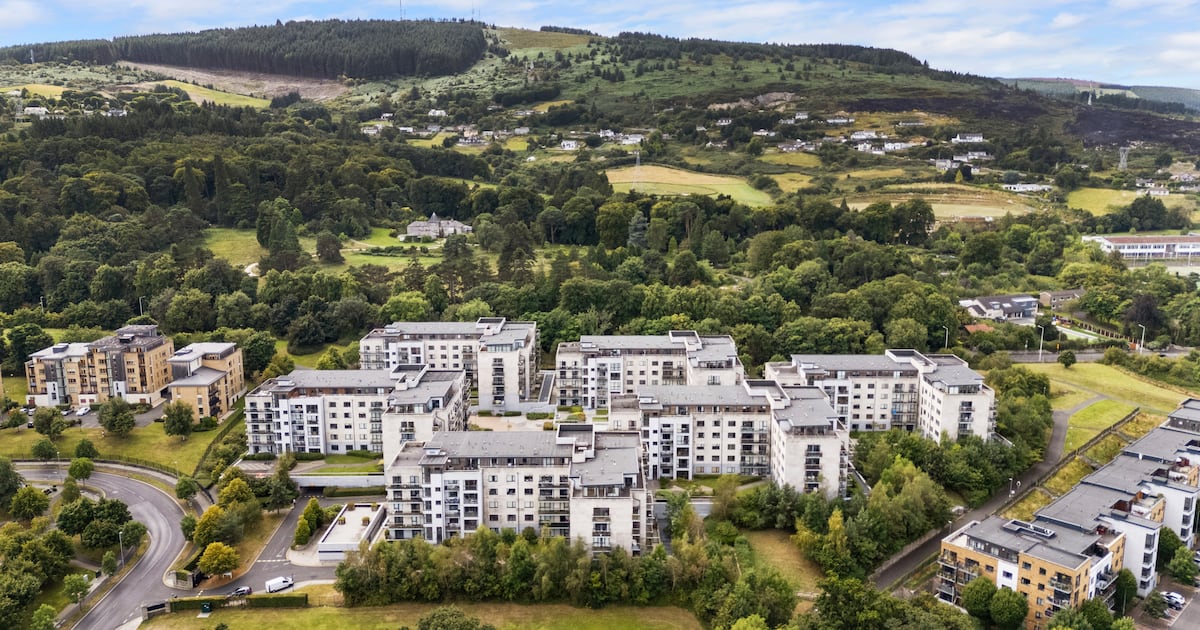 Investor pays €10m to buy 34 apartments in south Dublin development – The Irish Times